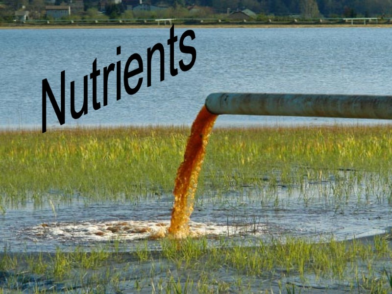 Nutrients